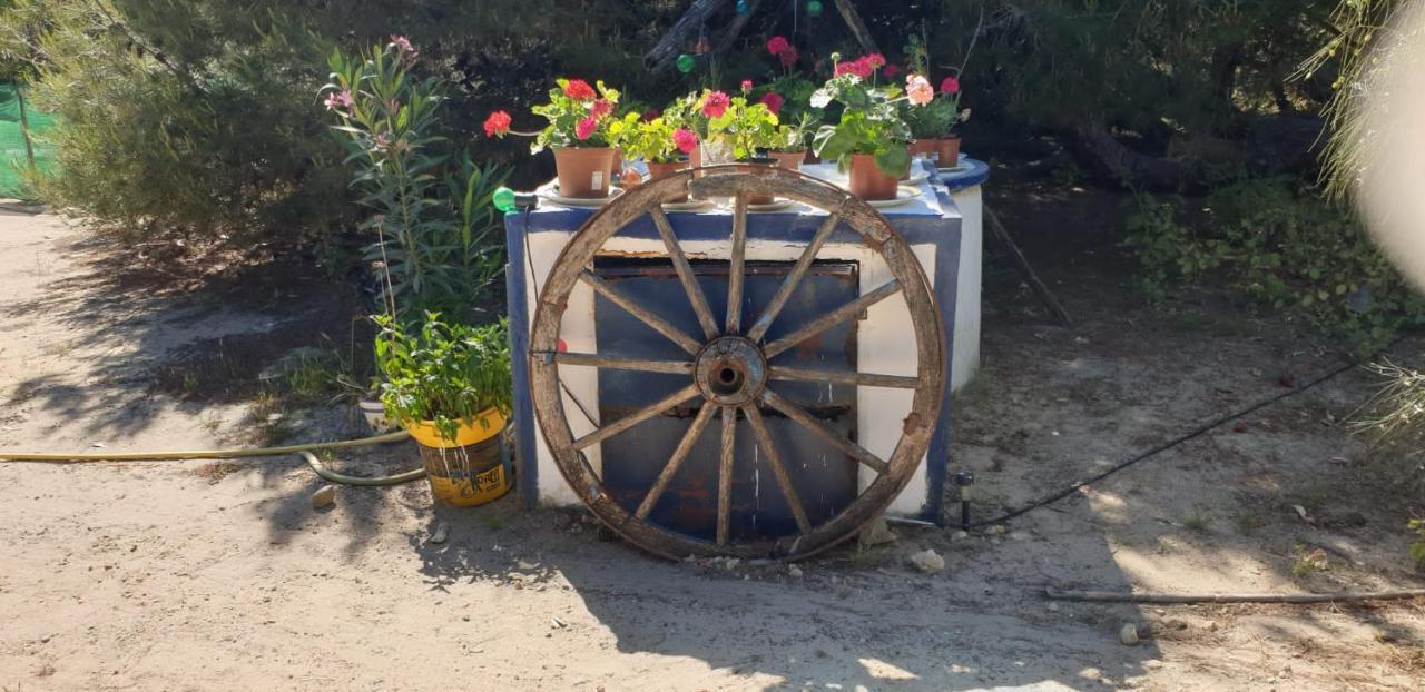 En Finca Las Dunas Dos Chalets Con Jacuzzis En Primera Linea De Playa , Uno De 4 Dormitorios Y Otro De 2 Dormitorios, Llama Al Seiscientos Veintisiete Cuatrocientos Diecisiete Trescientos Noventa Y Ocho Rota Luaran gambar