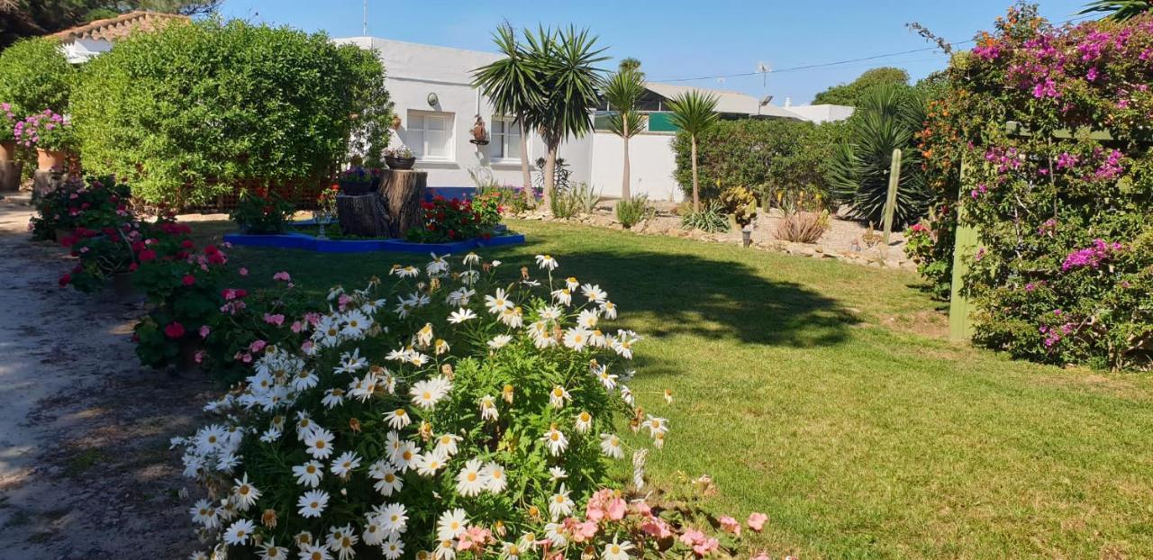 En Finca Las Dunas Dos Chalets Con Jacuzzis En Primera Linea De Playa , Uno De 4 Dormitorios Y Otro De 2 Dormitorios, Llama Al Seiscientos Veintisiete Cuatrocientos Diecisiete Trescientos Noventa Y Ocho Rota Luaran gambar