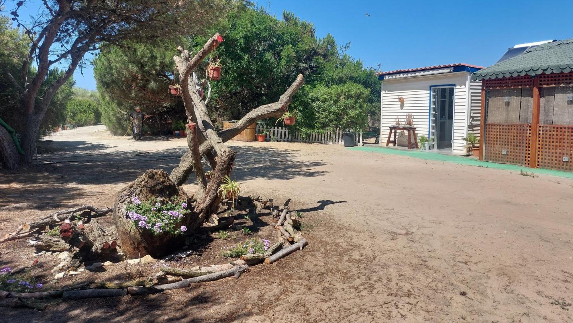En Finca Las Dunas Dos Chalets Con Jacuzzis En Primera Linea De Playa , Uno De 4 Dormitorios Y Otro De 2 Dormitorios, Llama Al Seiscientos Veintisiete Cuatrocientos Diecisiete Trescientos Noventa Y Ocho Rota Luaran gambar