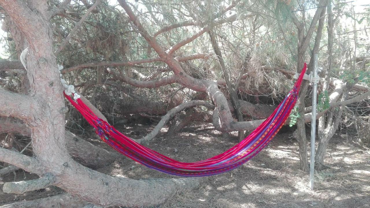 En Finca Las Dunas Dos Chalets Con Jacuzzis En Primera Linea De Playa , Uno De 4 Dormitorios Y Otro De 2 Dormitorios, Llama Al Seiscientos Veintisiete Cuatrocientos Diecisiete Trescientos Noventa Y Ocho Rota Luaran gambar