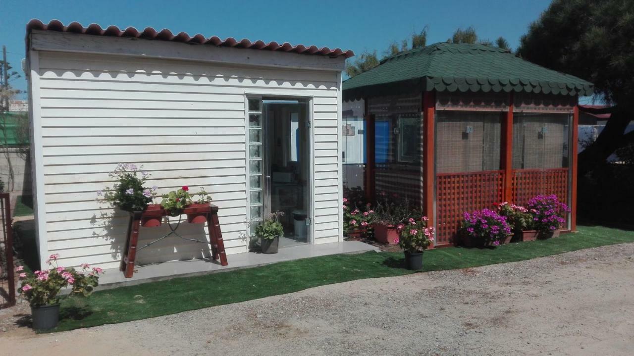 En Finca Las Dunas Dos Chalets Con Jacuzzis En Primera Linea De Playa , Uno De 4 Dormitorios Y Otro De 2 Dormitorios, Llama Al Seiscientos Veintisiete Cuatrocientos Diecisiete Trescientos Noventa Y Ocho Rota Luaran gambar